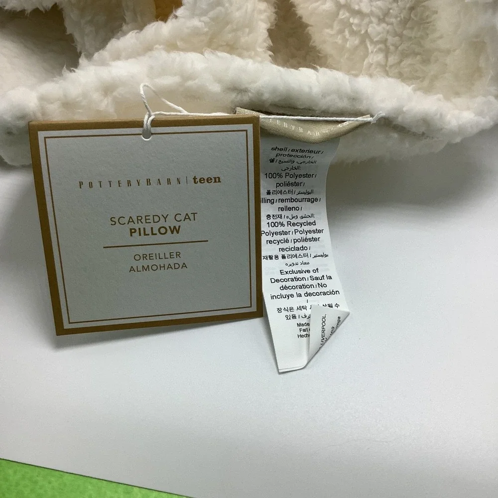 Pottery Barn Scaredy‎ Black Cat Pillow Halloween Ghost 31